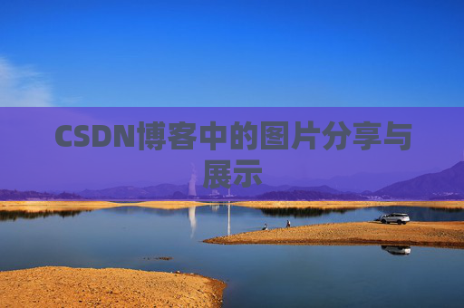CSDN博客中的图片分享与展示